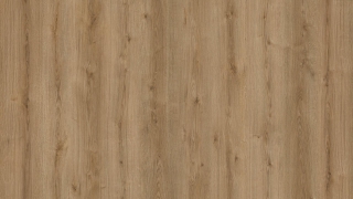 Panel podłogowy Kaindl K4421 Dąb Evoke Trend Natural Touch
